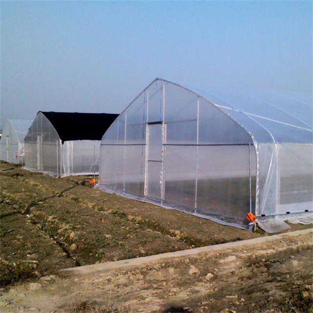 Serre tunnel agricole ventilée résistante aux UV