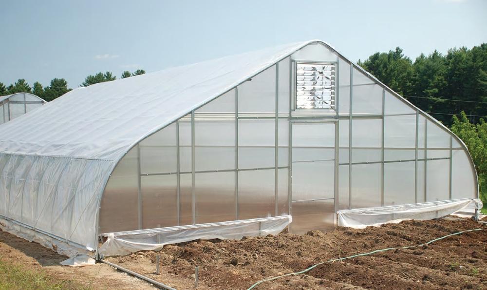 Serre tunnel agricole incurvée résistante aux UV