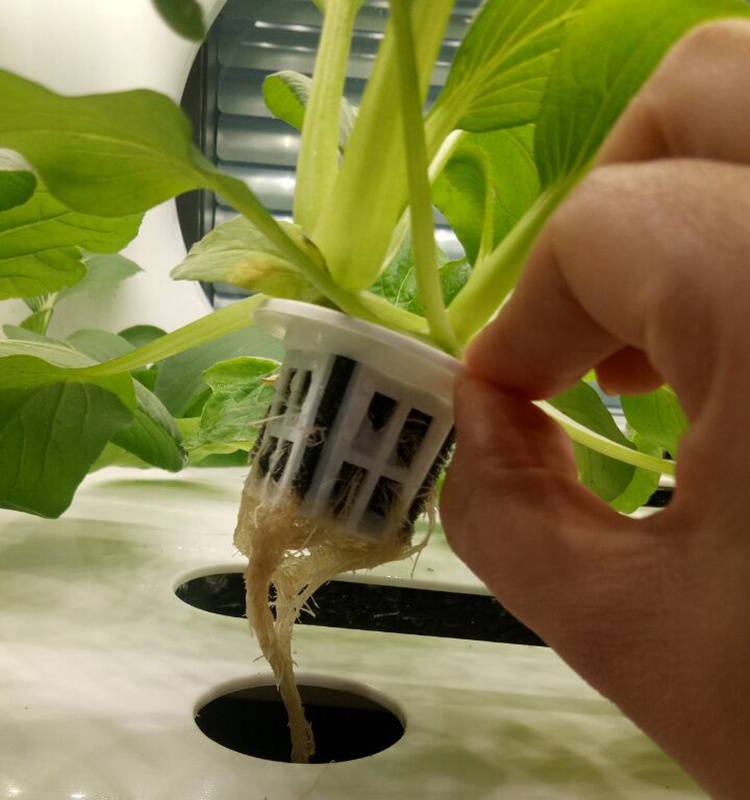 Tour intérieure sans sol hydroponique verticale