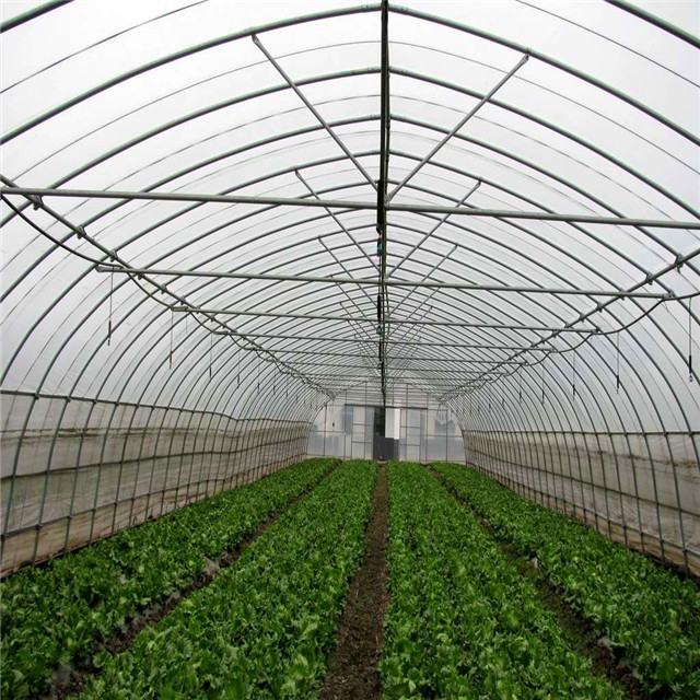 Serre agricole à travée unique, cerceau à faible coût, serre tunnel résistante aux UV